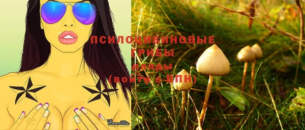 соль курить ск Михайлов