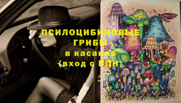 трава Михайловск