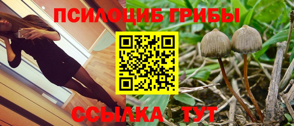 Галлюциногенные грибы MAGIC MUSHROOMS  Псилоцибиновые грибы прущие грибы  Нижневартовск  Вход с VPN 